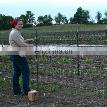 trellis for pole beans