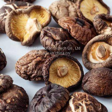 Dried Shiitake Mushroom photo-2