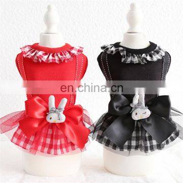 Beautiful elegant girl dog puppy dress clothes summer for party