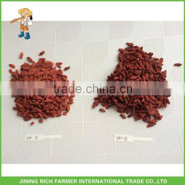 Dried Goji Berry 380Grains/50G