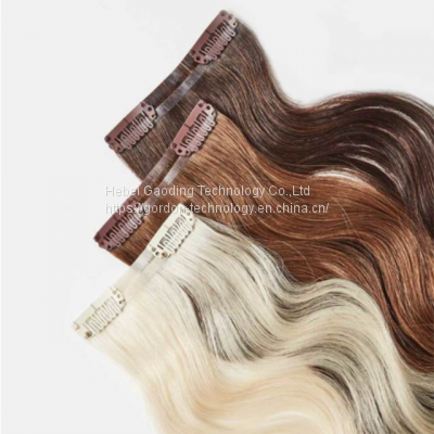 Wholesaler of Qualified Clip-in Human Hair Extension