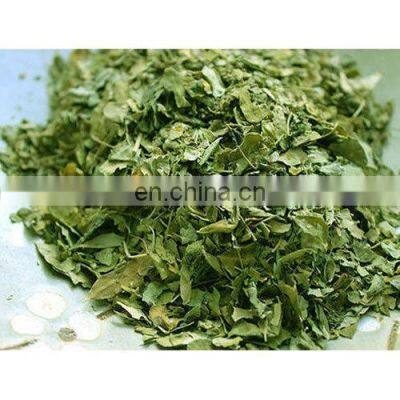 Dried moringa leaf from Vietnam