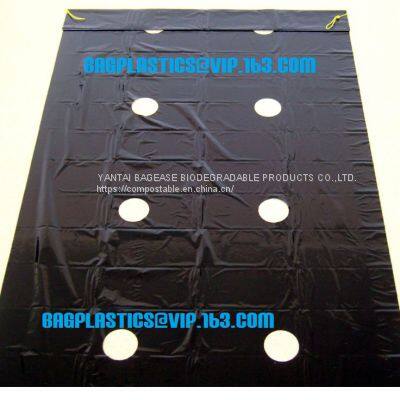 Agricultural Film, pe Film, Horticultural Mulch Film, Garden Perforated Ground Film,Mulching Films, Garden Film, pe Film photo-3