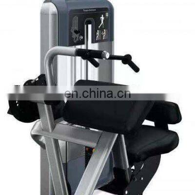 ASJ-DS004 Triceps Extension Commercial Gym Equipment Pin Load Fitness Equipment For Direct Factory