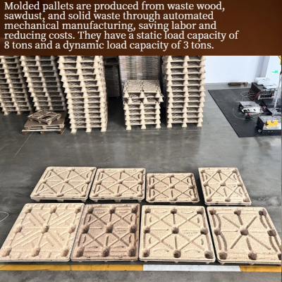 Eco-friendly, Recyclable Molded Wood Pallets — Compliant With European and American Standards — Hassle-Free Export