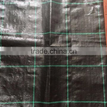 Agricultural PE/PP Weed Mat/pp woven weed mat