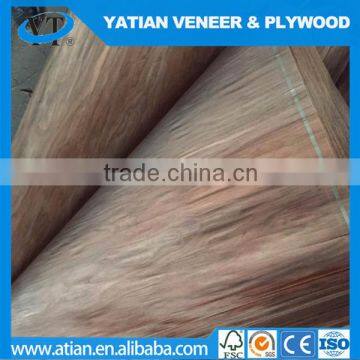 Grade ABCD 0.28-0.3mm Furniture Water Gum Veneer photo-5