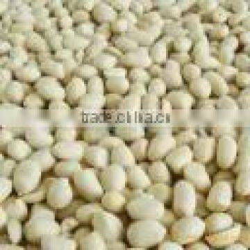 Blanched Peanut Kernel