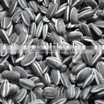 Crisp small commodity sunflower seed