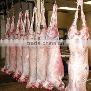 Halal Fresh / Frozen Goat / Lamb / Sheep Meat / Carcass