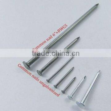 0.5-7"Common round wire nail(factory)