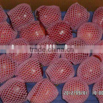 apple fruit market prices