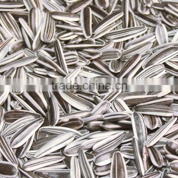 sunflower seed /sunflower seeds/sunflower seed kernel 24/64 26/68