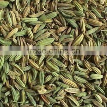 hot sale fennel tea