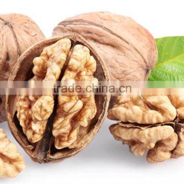 cheap100% organic walnuts in shell price