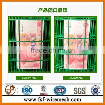 50x50mm Holland Electric Welded Wire Mesh Hot Sale Have Stock Price List photo-5