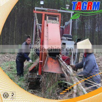 Large capacity sugarcane machine for leaf peeling Sugarcane peeling machine 6BCT-5