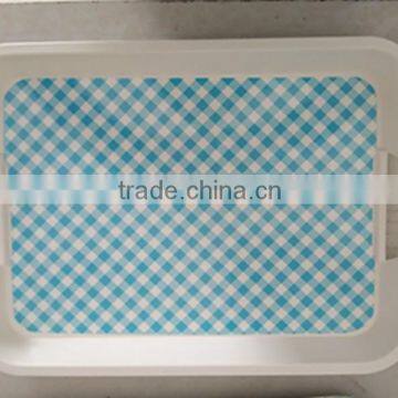 hotsale PP plastic tray with handle