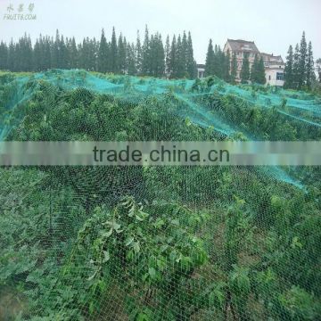 China factory wholesale plastic anti hail net, Anti-hail Net,hail net for fruit tree