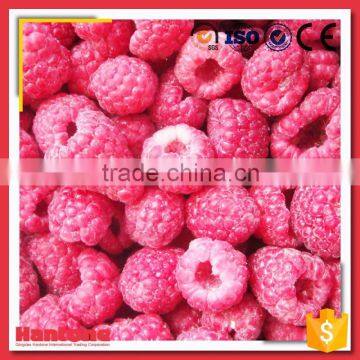 Wholesale Wholes Iqf Raspberry