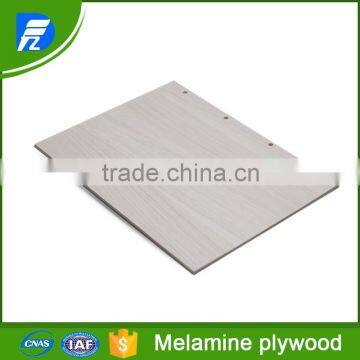 Plywood With Melamine HPL Finish photo-5