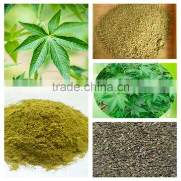 Sweet Tea Extract Natural Sweetener
