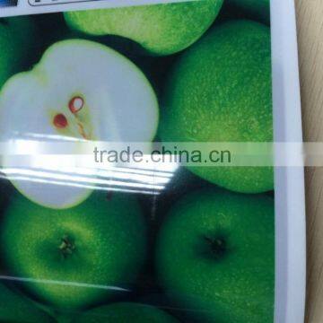 Pet Film Price Cost-effective no Slipping Wide Pure Pet Film Rolls Pet Film photo-4