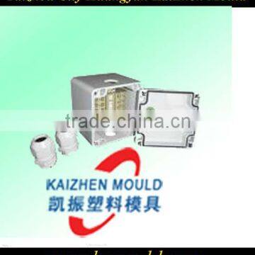 Precision plastic wall plug switch mould