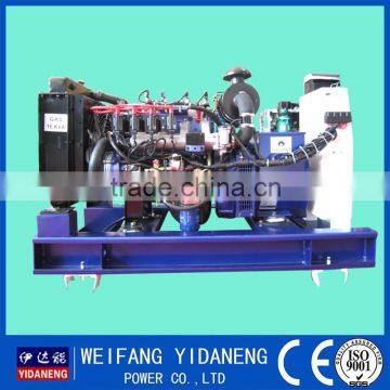 Yidaneng Power Yangdong 12kw biogas generator genset