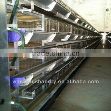 Pullets raising cage for poultry farming equipment chicken house