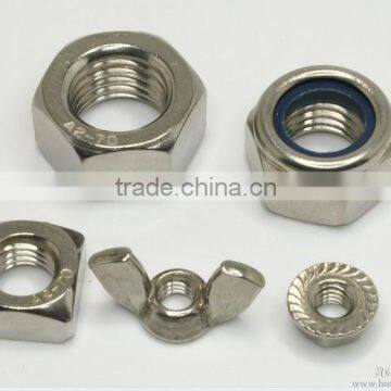 round/hex/flange head ss nut bolt