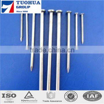 low price 2 inch common nail from china supplier