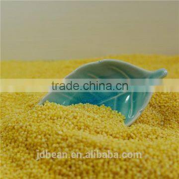 organic hulled glutinous yellow millet for vacuum packing and bulk