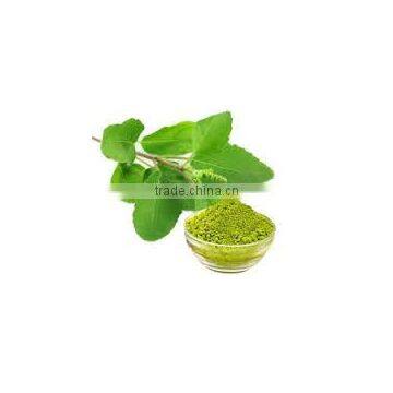STAVIA POWDER INDIAN TULSI POWDER photo-3