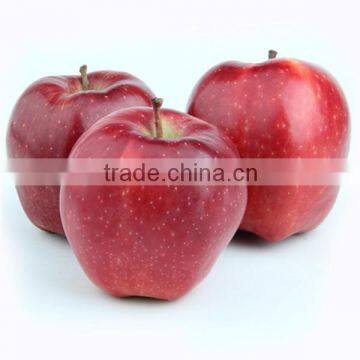 Super quality good taste Huaniu apple