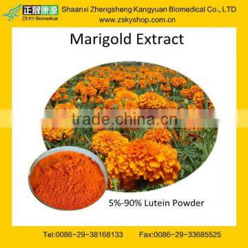 GMP manufacturer supply food and Pharmaceutical grade marigold extract -- Lutein