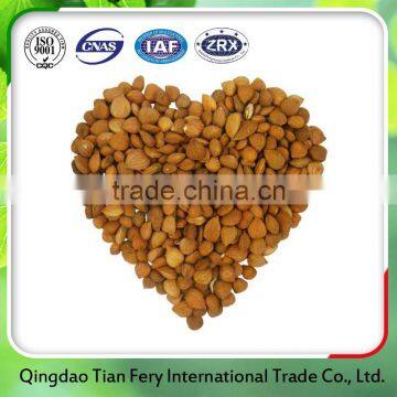 Factory price sweet dried apricot kernels