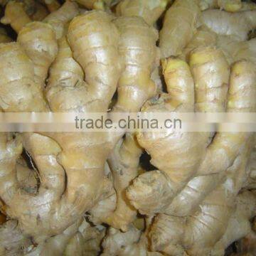Fresh Ginger Needed photo-5