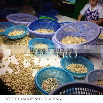 MANUFACTURER VIETNAM CASHEW NUT LP (+841657106604 - WHATSAPP)