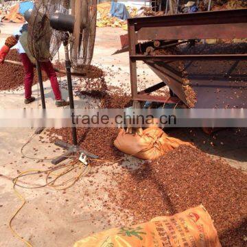 VIETNAM BEST QUALITY AUTUMN STAR ANISE photo-3
