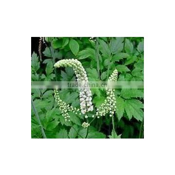 high quality black cohosh extract powder