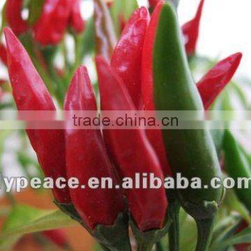 bell peppers for dehydrated vegetables from china