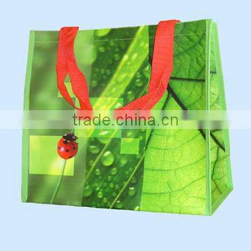 QS certificate Supermarket Fruit Pp Woven Lamination Shopping Bag Recycled Promotional Bags