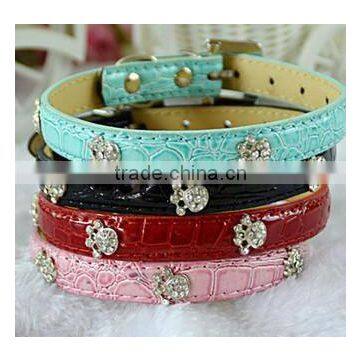 String Set Personalized Pet Dog Training Collar