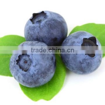 Blue Acai Berry coffee OEM service