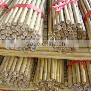 Bamboo poles for garden plant