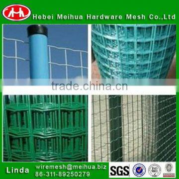 Netherland network /wave network/Holland wire mesh