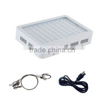 Best Price of High Intesity High Lumens Output 300w Led Grow Light for Plants Grow photo-3