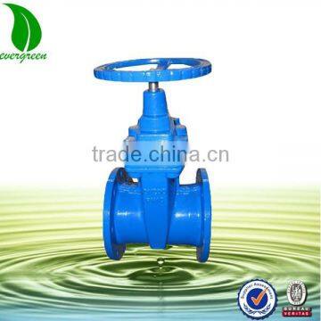 Iron gate valve