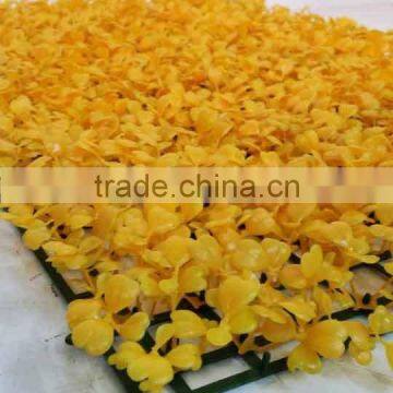 New Style Wholesale Customized Artificial Milan Grass Mats for Decoration photo-5